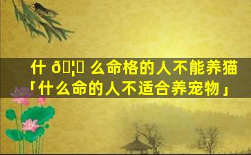什 🦁 么命格的人不能养猫「什么命的人不适合养宠物」